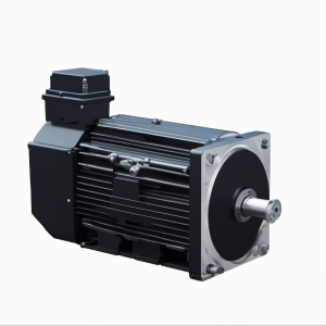 MPL-B330P-RK22AA SERVO MOTOR, PERMANENT MAGNET ROTARY MOTOR | Allen Bradley MPL-B310P-MK22AA Servo Products In Stock, PERMANENT MAGNET ROTARY MOTOR | Allen Bradley - Page 26