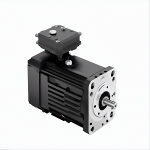 VPL-B0632T-CJ12AA VPL Low Inertia Motors | Allen Bradley