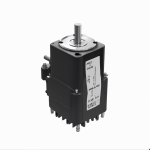 VPL-B1652F-PJ14AA Low Inertia Premium Permanent Magnet Rotary AC Servo Motor | Allen Bradley