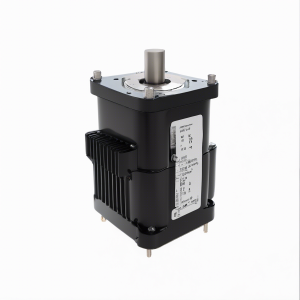 VPL-B1652F-PK12AA Low Inertia Premium Permanent Magnet Rotary AC Servo Motor | Allen Bradley